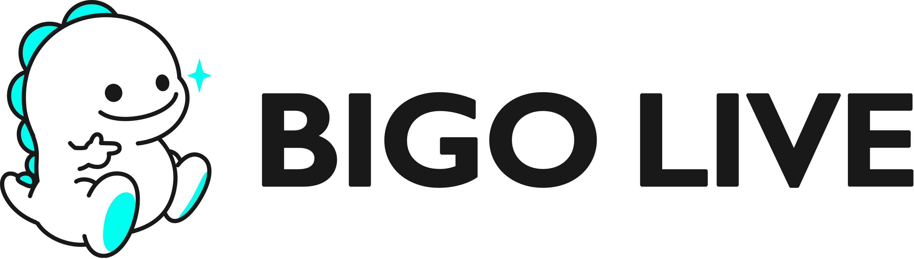 bigo tv slip